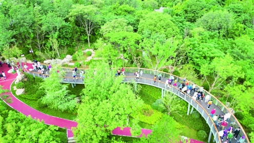 千佛山—佛慧山无障碍绿道实现两大景区无缝连接 济南市园林和林业绿化局供图